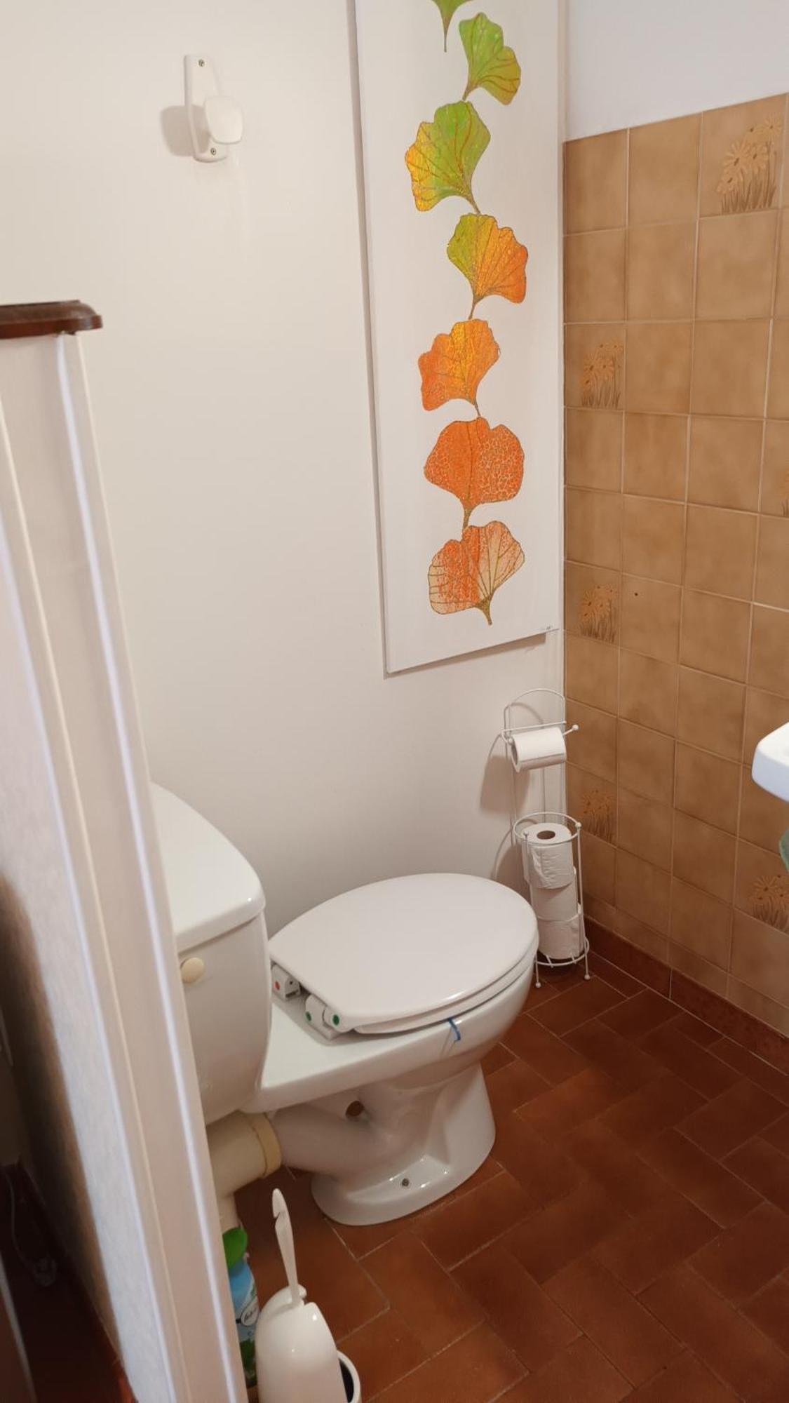 Gentil Coquelicot Apartamento Mirepoix  Exterior foto